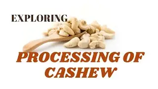 Processing of Cashew | Post harvest Technology | SNS INSTITUTIONS