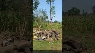 challenges of small scale farming