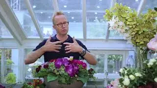Bloomr | Stories with #INDEXDubai