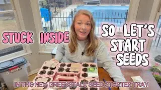This ice storm can't stop me from starting seeds in the new Greenstalk seed starter tray