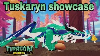 Dragon adventures new grassland dragon Tuskaryn Showcase & And Guide 