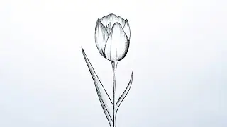 How to draw a beautiful flower easy | Easy Flower Drawing Step by Step | Simple flower art |