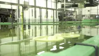 Leerdammer, the cheese factory