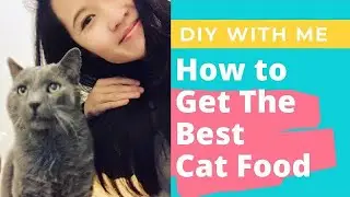 How to Get the Best Cat Food For Indoor Cats