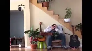 This guitar guy kicked his fat cat out of the way and quickly receive an instant revenge.