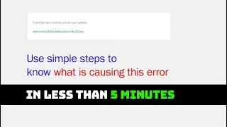 There has been a critical error on your website - Know what is causing and start the website