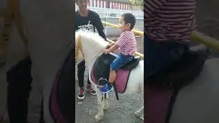 Jizam Naik kuda