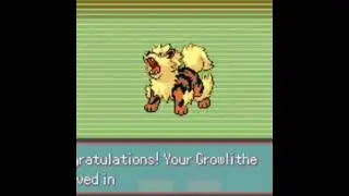 Growlithe Evole Into Arcanine || Pokemon Light Platinum || #shorts