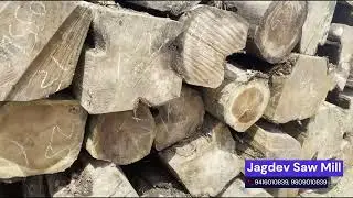 Jagdev Saw Mill - Teak Wood Logs available in all sizes suitable For Doors, Windows, Furniture etc.