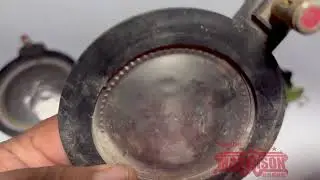 ¿ POR QUE SE QUEMARON ESTOS AGUDOS ?