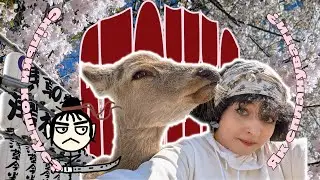 Як поїхати в Японію? І скільки то коштує?
