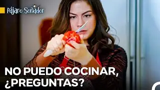 Su Chef Sanem Est&aacute; Causando Un Desastre En La Cocina 😂 - P&aacute;jaro So&ntilde;ador