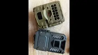 Reconyx Hyperfire 2 vs Bushnell 24MP Core Prime Low Glow