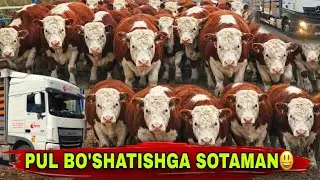 BUNAQA ARZON BO’LMAGAN EDI ✅✅✅4 февраля 2026 г.