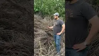 what are we supposed to do with all these sticks?