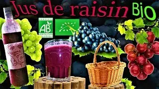Comment faire du jus de raisin Bio ?🍇🍷