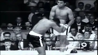 Ali vine