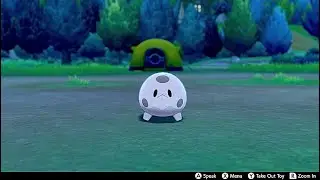 Galarian Corsola In Camp - Pokemon Sword & Shield