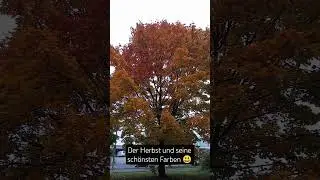der Herbst und seine sch&ouml;nsten Farben 😃