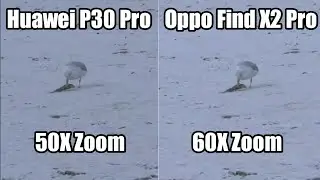Oppo Find X2 Pro vs Huawei P30 Pro Camera Zoom Test | (60X vs 50X)