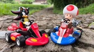 Mario and Sonic Hunt Adventure! Luigi/Shadow/Toad/Tails/Yoshi/Knuckles/Bowser/Dr. Eggman/Princess