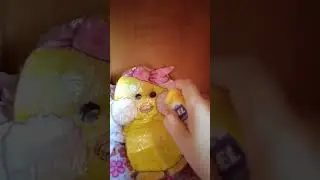 мой день с чичой🌿🪴🦜