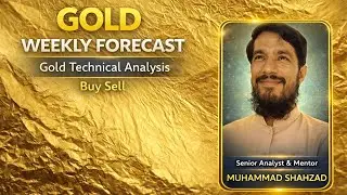 Gold Weekly Forecast & Technical Analysis || || Gold Buy Sell Levels