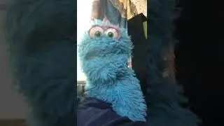 #buddythepuppet