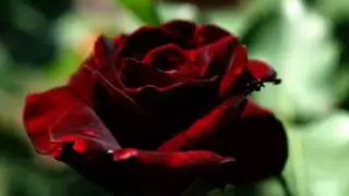 東京アンナ(昭和30年)大津美子
