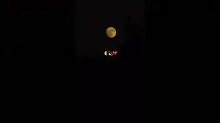 ISHQ SACHA BAHI JISKO MILTI NAHI🎧📌