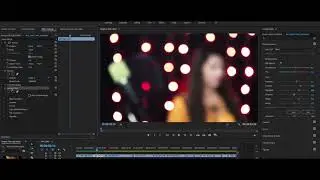 Premiere Pro Trick for Beginners | Copy/Paste Attributes