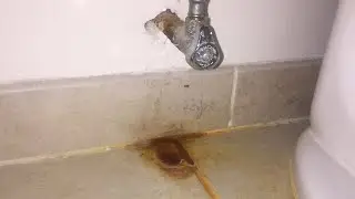 How to Remove Rust Stains from Tiles &ndash; Time Saving Tips!