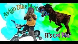 Avigo Boys BMX Bicycle by EE's Cool Toys review