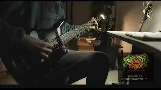 Fernandes bass FRB 55