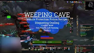 Paladin AoE // Weeping Cave (Western Plaguelands) // Nature Protection Potion Recipe // Classic Wow