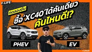 Volvo XC40 ซื้อคันไหนดีระหว่าง PHEV กับ EV | Y-Life