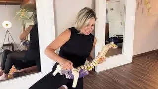 Pilates Einblick „Teaching Skills“ (PM V I )