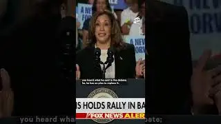Kamala Harris Laughs About Donald Trump's 'Concepts of a Plan'