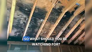 Signs of Hidden Mold in Your Granville Home and What They Mean