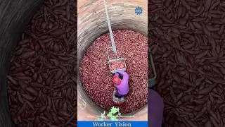 Ingenious Root Cellar Storage! 🍠 Ancient Wisdom Meets Modern Precision! #farming