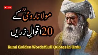 20 Golden Quotes of Rumi | Molana Rumi Wisdom in Urdu | Inspirational Islamic Quotes