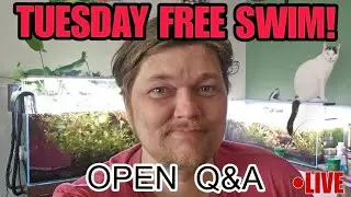 Addressing My Impending Scandal: LIVE! ● OPEN Q&A ● CHAT & UPDATES 🙂