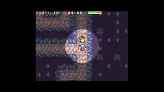 Wooper - Speedrun - 28 (and a half) Floors - No Pass Scarf, no Warp Scarf