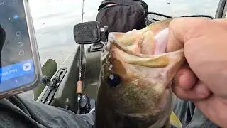 Up North with Crush City Cleanup Craw!