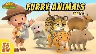 Furry Animals Minisode Compilation (Part 1/4) - Leo the Wildlife Ranger | Animation | For Kids