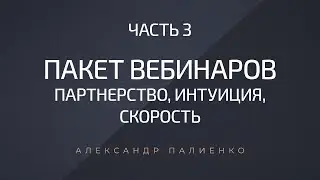 Пакет вебинаров &laquo;Партнерство, Скорость, Интуиция&raquo;. Часть 3. Александр Палиенко.