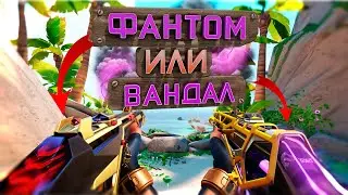 ФАНТОМ ИЛИ ВАНДАЛ? / VALORANT
