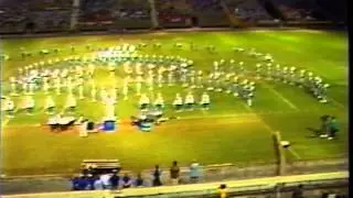 Taravella 1985