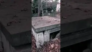 something crawled out of this haunted tomb #Cemetery