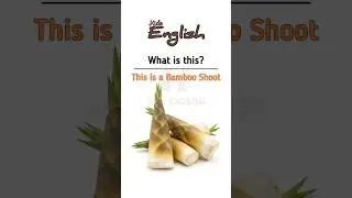 English Conversation #learn #english #learningenglish #englishskill #short #shorts #shortvideo